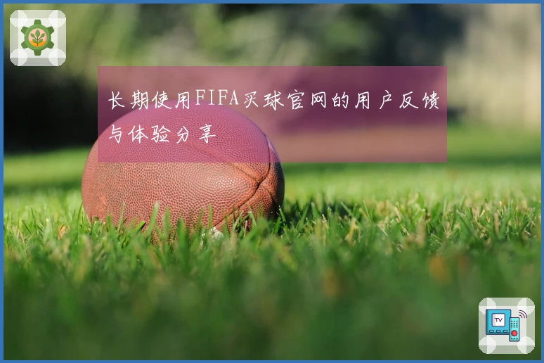 长期使用FIFA买球官网的用户反馈与体验分享