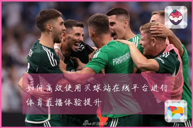 如何高效使用买球站在线平台进行体育直播体验提升