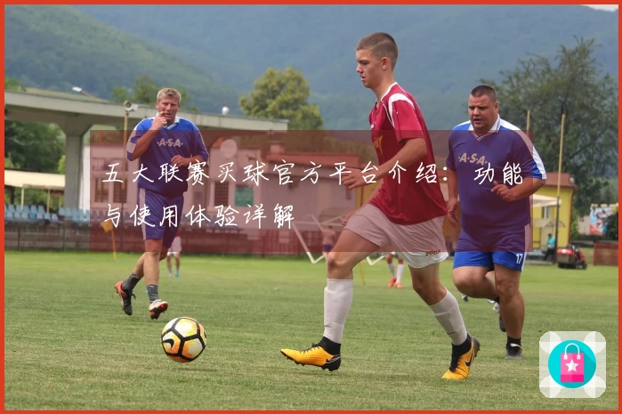 五大联赛买球官方平台介绍：功能与使用体验详解
