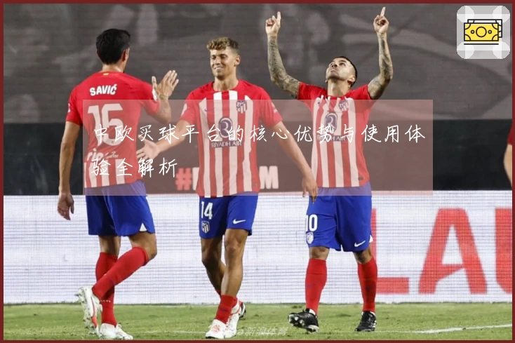中欧买球平台的核心优势与使用体验全解析