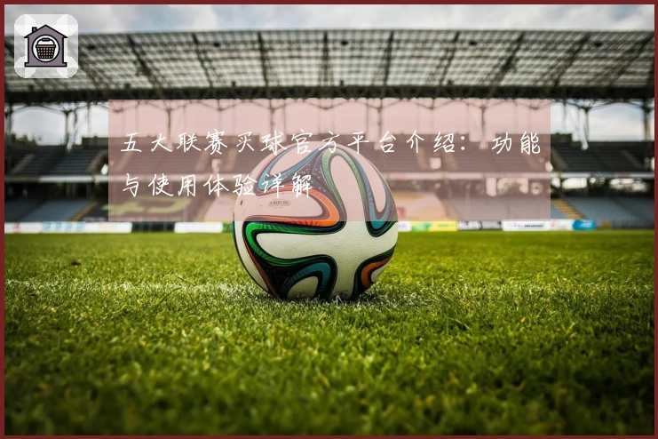 五大联赛买球官方平台介绍：功能与使用体验详解